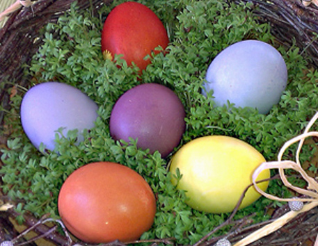 Kreativkurs fürs Osternest am 14.03.2026