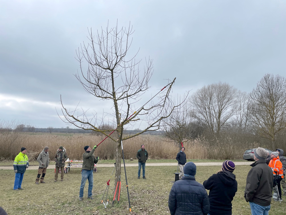 Obstbaumschnittkurs (Foto: Katrin Pilz)