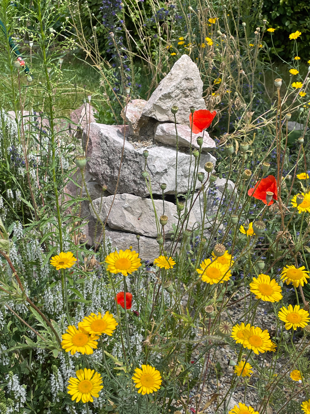 Naturgarten