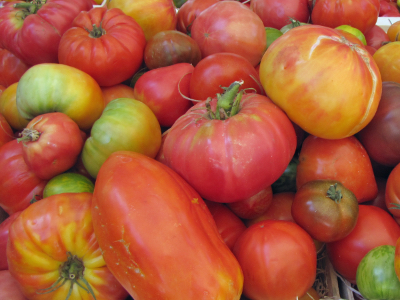 Tomaten (Foto: Erwin Pommer)